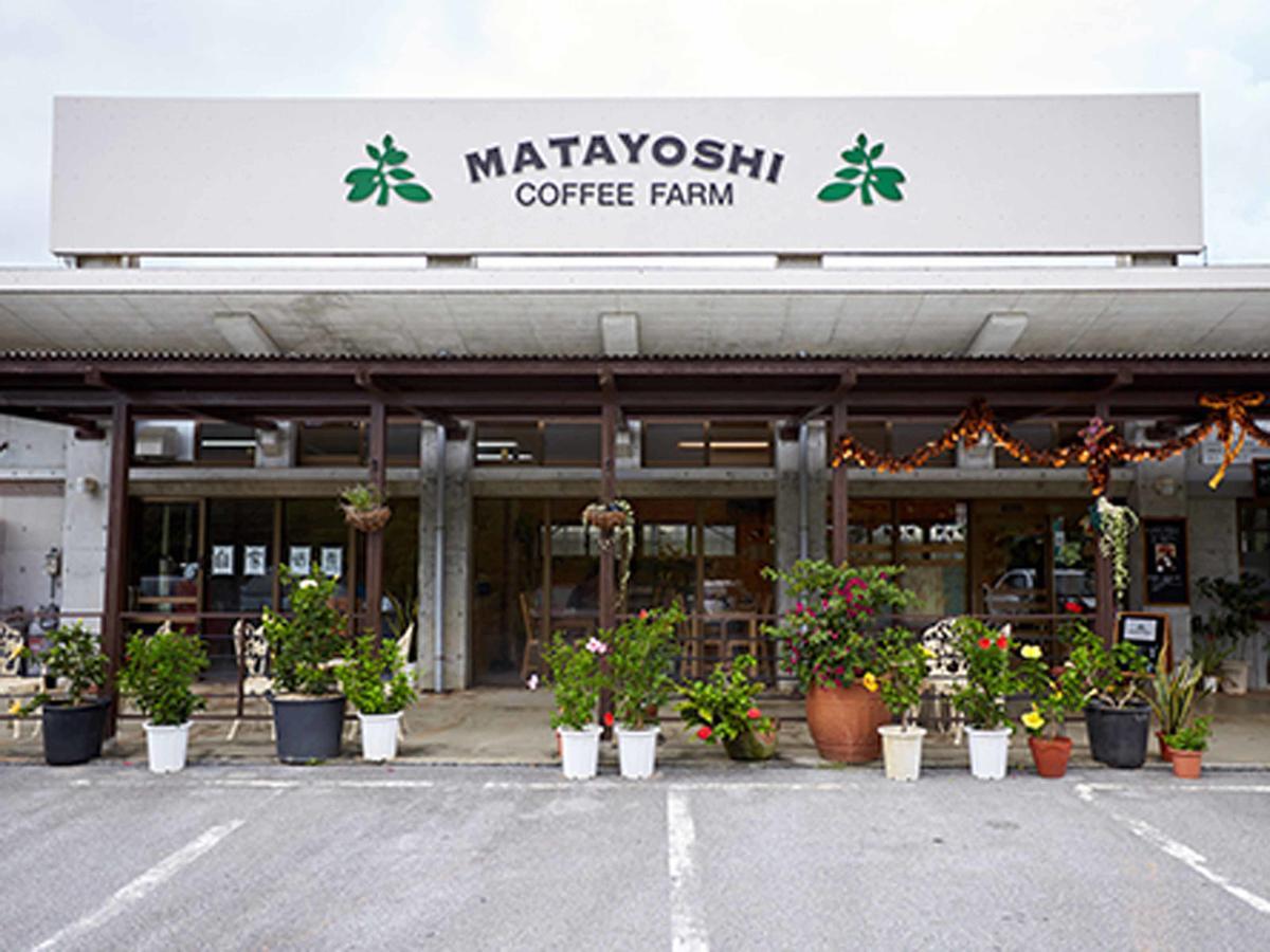 فيلا Matayoshi Coffee Farm Higashi المظهر الخارجي الصورة