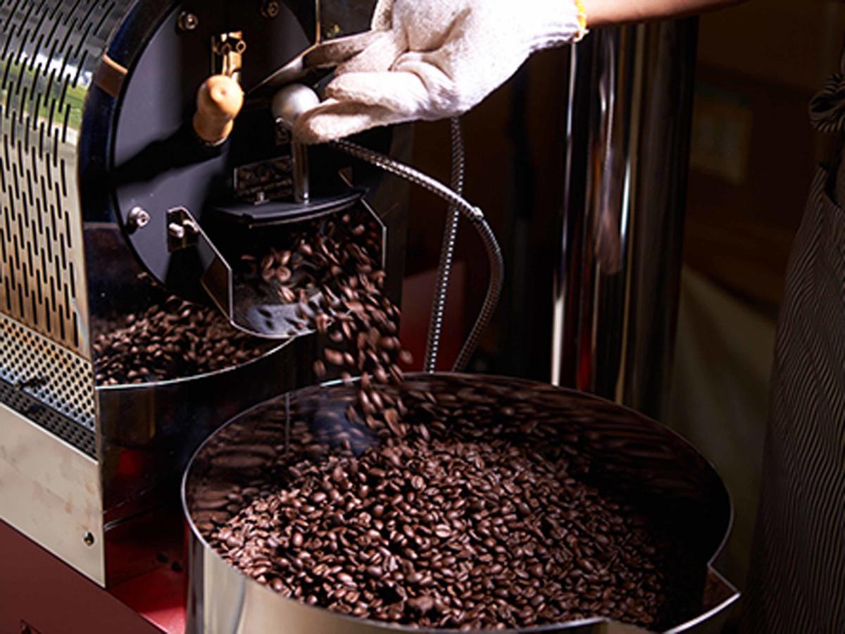 فيلا Matayoshi Coffee Farm Higashi المظهر الخارجي الصورة