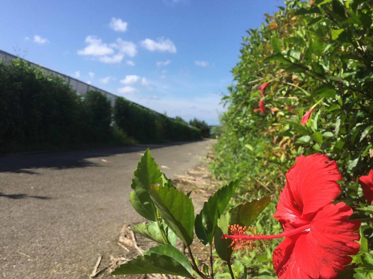 فيلا Matayoshi Coffee Farm Higashi المظهر الخارجي الصورة