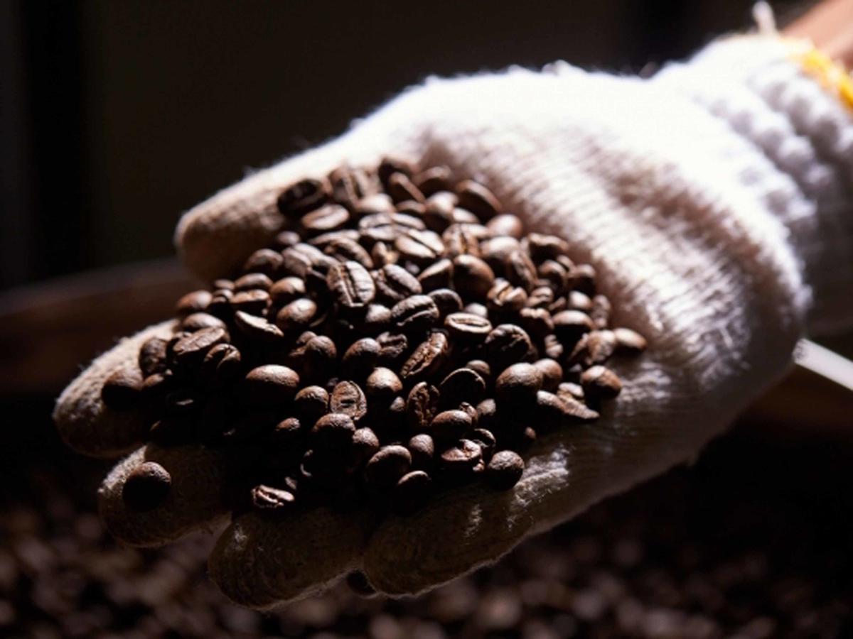 فيلا Matayoshi Coffee Farm Higashi المظهر الخارجي الصورة