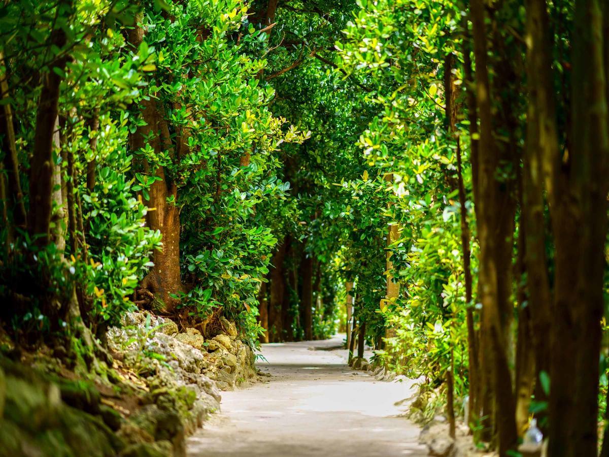 فيلا Matayoshi Coffee Farm Higashi المظهر الخارجي الصورة